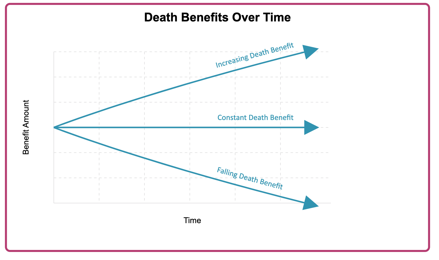 Death Benefits Over Time: increasing, constant and falling death benefit over the contract period